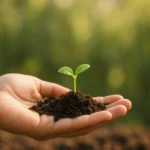 The future begins where belief takes root